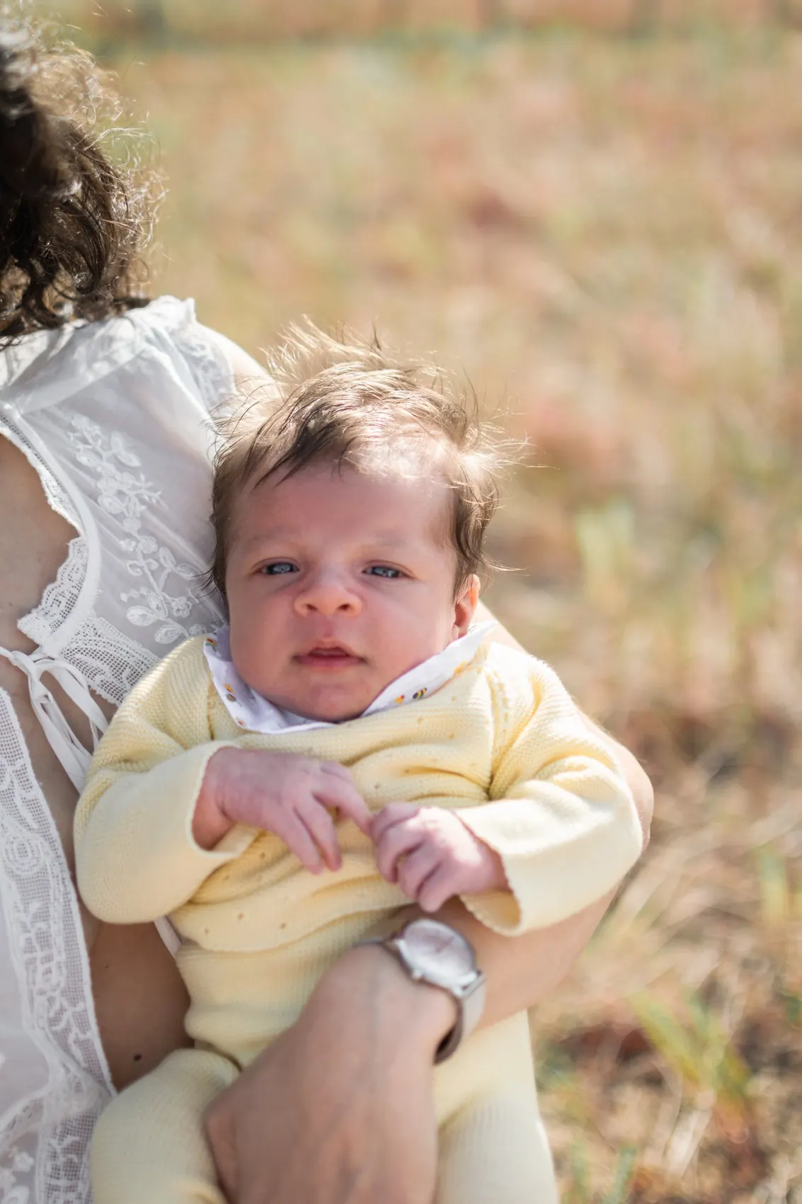 Retrato del bebé en brazos